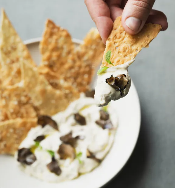 Hummus-truffeldip